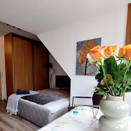 Ferienwohnung Elsnerstrasse Nürnberg Exterior foto